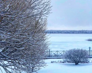 Загородный клуб Пихтовое Фото 2