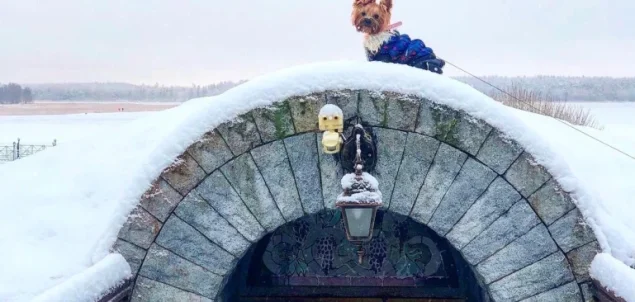 Загородный клуб Пихтовое Фото 4