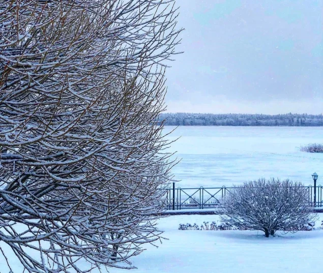 Загородный клуб Пихтовое Фото 2